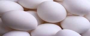 Huevo blanco, mediano (Caja de 360 unidades) 300.00 300.00 0.