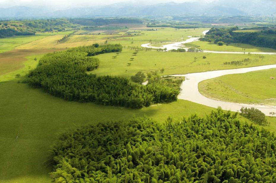 Foto César Duque Fincas cuenca media del río La Vieja entre los