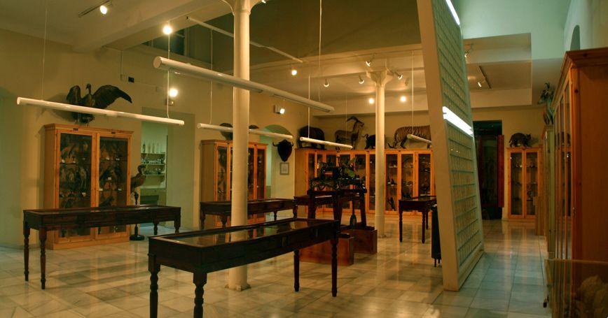 José Taboada Tundidor amplió la colección del Museo de Historia