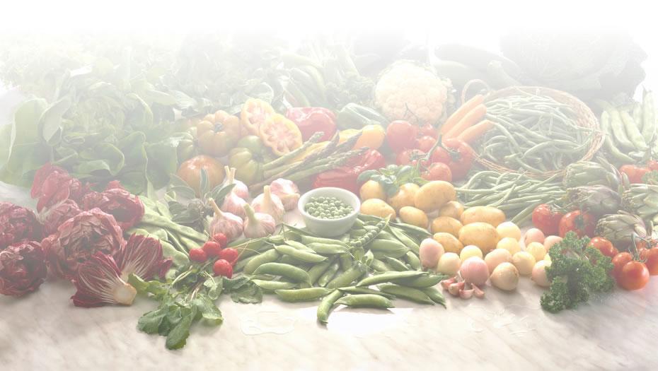 Los precios de las hortalizas y legumbres frescas registraron aumento, alcanzando para el mes de junio una variación de 2,4% destacando el alza de precio de la vainita verde americana, vinculado a la