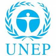 Naciones Unidas para el Desarrollo Industrial (ONUDI) y el apoyo de un consorcio