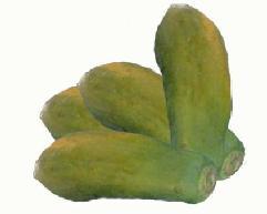 Cuadro 2. Precio promedio semanal Papaya criolla, mediana, de primera (ciento) Piña mediana, de primera (ciento) Precio promedio (quetzales) Variación 500.00 500.00 0.