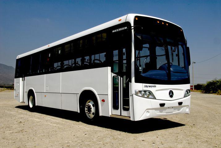 División de Buses La división de autobuses es el líder del mercado mexicano con mas del 50% de