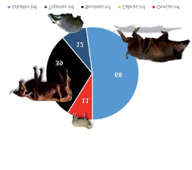 SANIDAD JABALÍ Y TUBERCULOSIS Figura 1. Composición de la comunidad de hospedadores de tuberculosis en una zona de Navarra Las cifras del gráfico muestran el número de animales infectados por especie.