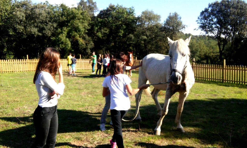 Las actividades se complementan con talleres con caballos, trabajando las emociones y la comunicación no verbal a través de estos animales tan sensibles.