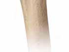 El cartílago es una Músculos y capa de tejido suave tendones del y gomoso que manguito de los rotadores recubre la