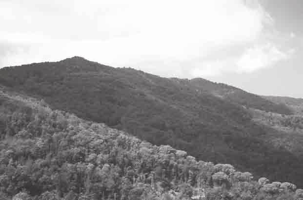 clima mediterrani de baixa muntanya i muntanya mitjana es localitza al sud del Prepirineu, als massissos de la Serralada Litoral, i a una part de la Depressió Central i de les primeres terres que