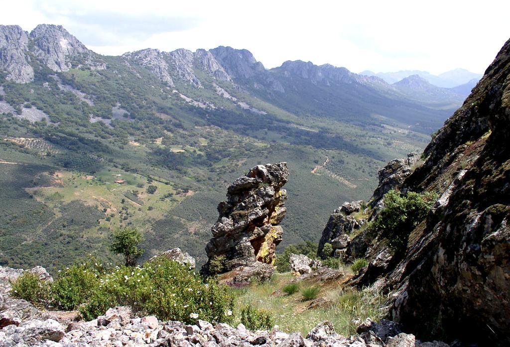 Relieves ordovícicos, derrubios de ladera y canchales del Valle del Almonte y Sierra
