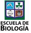 UNIVERSIDAD DE COSTA RICA B-233 Laboratorio de Botánica General PRÁCTICA 1 USO DEL MICROSCOPIO DE LUZ Y PREPARACIÓN DE CORTES DE TEJIDOS El microscopio de luz es una herramienta muy importante para