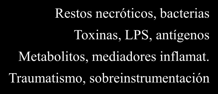 linfocitos.