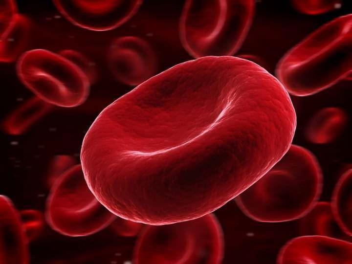 Notación científica Los glóbulos rojos de la sangre son discos bicóncavos cuyo diámetro es de 6 a 8 µm. aprox. Contienen hemoglobina, que es el pigmento de transporte de oxígeno.