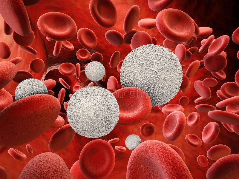 Notación científica Los glóbulos blancos de la sangre se encargan de la defensa del organismo contra sustancias extrañas o agentes infecciosos.