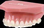 Apoyo / Asesoramiento Modelo de ortodoncia para demostraciones discovery pearl McLaughlin-Bennett-Trevisi* 22 Lleva montados: brackets