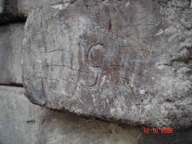Esta madera fue detectada el 4 de octubre 2009, en el plantel de la empresa Milworks Internacional S. A. de C. V.
