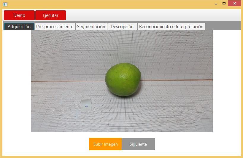 C. Interfaz para realizar pruebas individuales a los limones: se accede a través de la