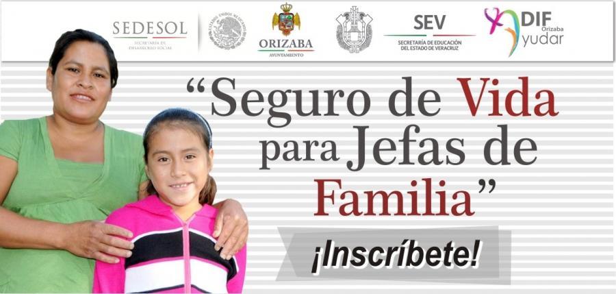 PROGRAMA FEDERAL SEGURO DE VIDA PARA MUJERES JEFAS DE FAMILIA DEPENDENCIA PROMOVENTE: SEDESOL (Secretaria de Desarrollo Social)