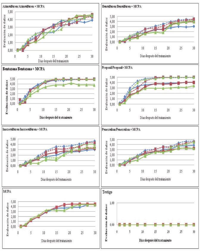 La eficacia del herbicida se midió por el número de plantas afectadas siguiendo la escala de valores mostrada en la Tabla 2.