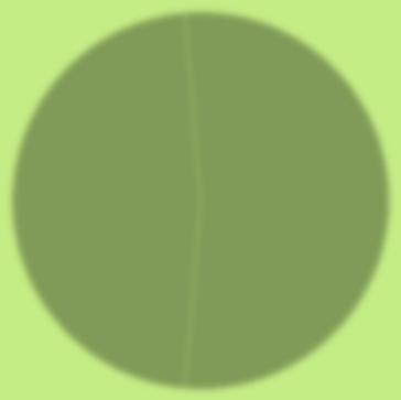 Kiwi Cerezo Manzano No 47% Sí 53% 11% 5% 5%