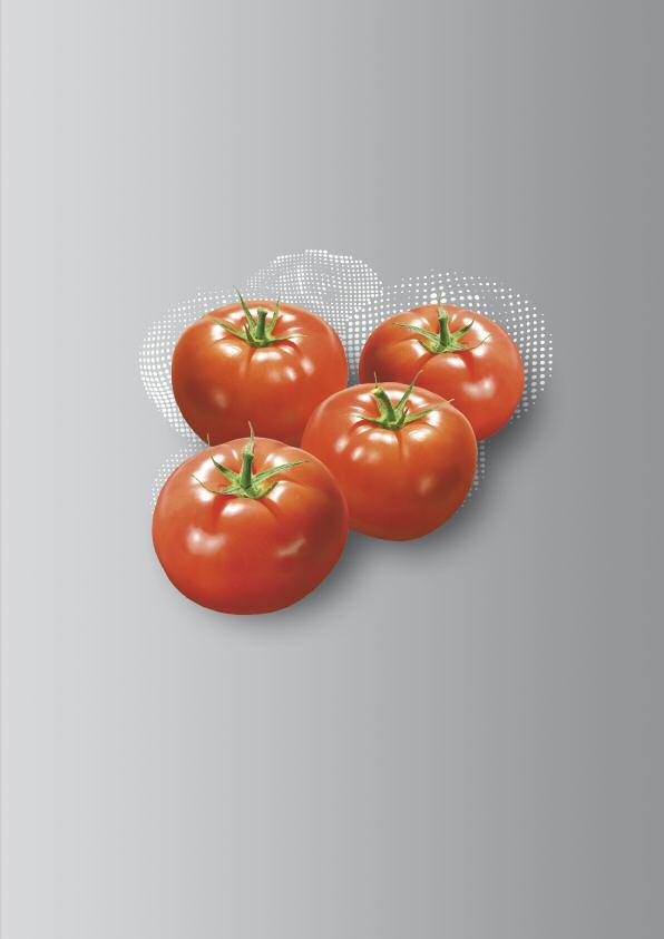 Tomate Tomate: KALI SOP factor de