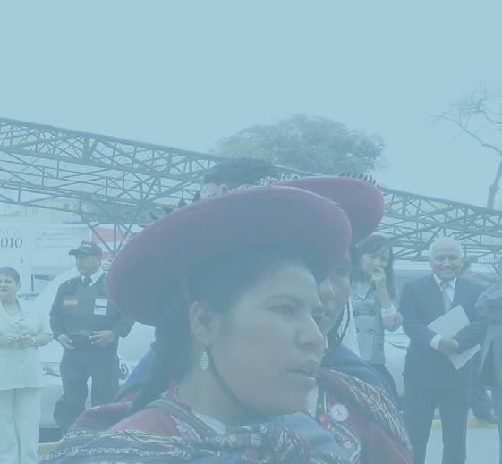 (EDA s) en el Perú Indicadores de