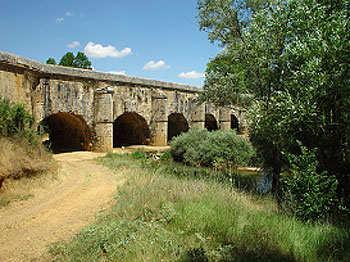 - Canal de Castilla: El visitante puede admirar esta gran obra de ingeniería hidráulica del siglo XVIII y XIX.