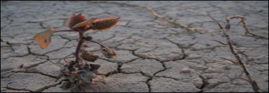 Clima observado en Chile Desde Febrero 2008: Chile, sufre la sequía más seria en los últimos