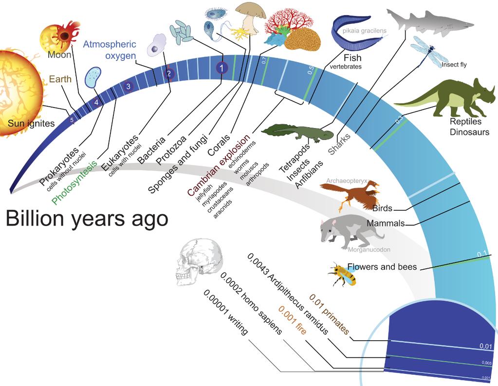 Origen evolutivo de las especies La vida en nuestro planeta se originó hace cerca de 4 billones de años, su diversidad es inagotable y está sujeta a constantes cambios evolutivos.