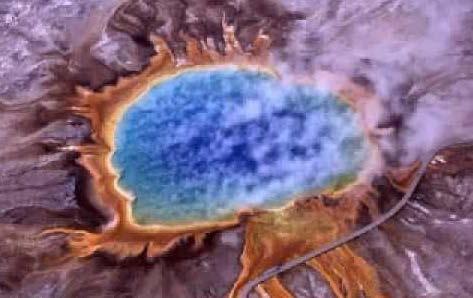 Se cree que las primeras formas de vida, fueron células prokaryote