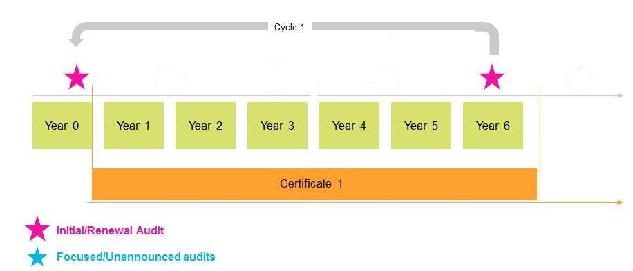 5.2 Ciclo de certificación de seis años para pequeños licenciatarios Si está usted clasificado como pequeño licenciatario, su ciclo de certificación es de 6 años.