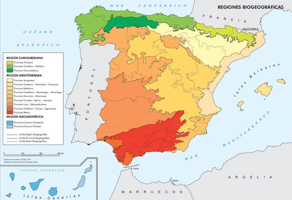 PRÁCTICA 31 - REGIONES BIOGEOGRÁFICAS A continuación, se presenta un mapa de las regiones biogeográficas de España.