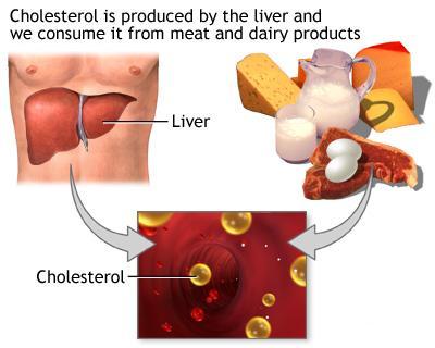 Efecto de los fitoesteroles y fitoestanoles en la reducción de los niveles de colesterol Reducen el colesterol en sangre, reduciendo específicamente el LDL Ha sido
