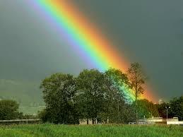 El arco iris Cómo