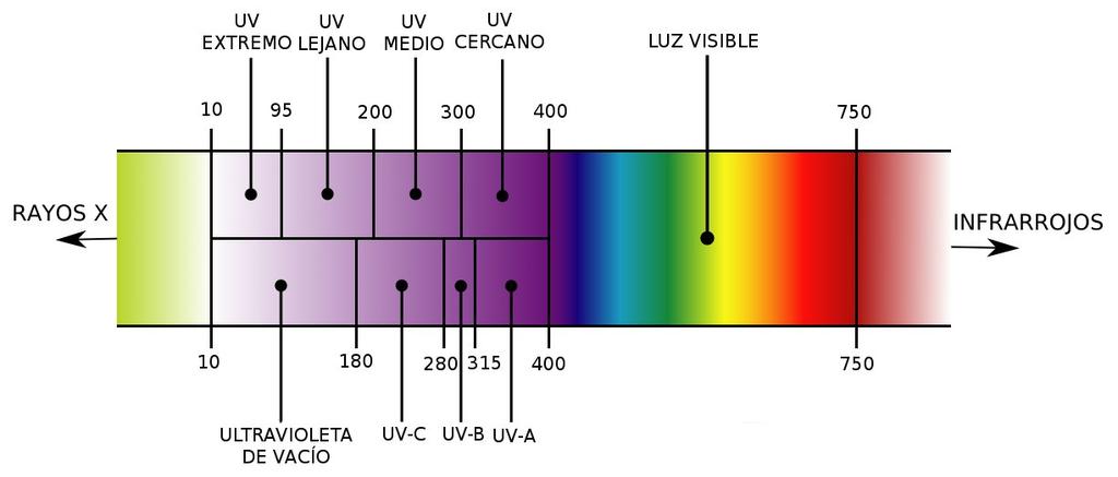 El color es pues un hecho de la visión que resulta de las diferencias de percepciones del ojo a distintas longitudes de onda que componen lo que se denomina el "espectro" de luz blanca reflejada en