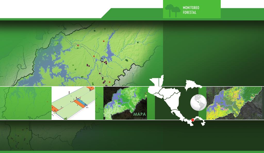 Nota Técnica Nº 12 08 / 2015 Mapeo de la Cobertura Forestal Volumen, Biomasa y Carbono Forestal Sistemas de