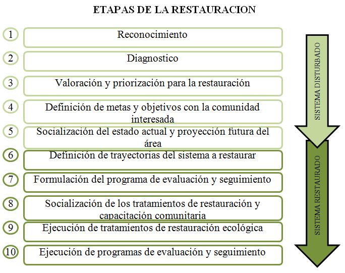 Figura 1. Etapas para la ejecución de un proyecto de restauración ecológica. Fuente (Barrera et al.