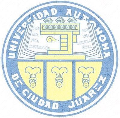 Universidad Autónoma de Ciudad Juárez Dirección General de Planeación y Desarrollo Institucional ANÁLISIS GENERAL DE SEGUIMIENTO A EGRESADOS
