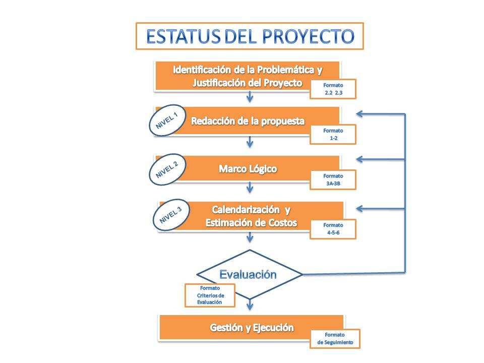 El proyecto se encuentra en el nivel uno, cuando la redacción de la propuesta textual esté completada (formatos 1 y 2). El nivel 2 corresponde a la elaboración de la metodología del marco lógico.
