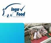 Nanta 50% de INGA FOOD,S.A. 2003 Certificación de nuestro sistema de gestión basado en la norma UNE-EN ISO 9001:2000.