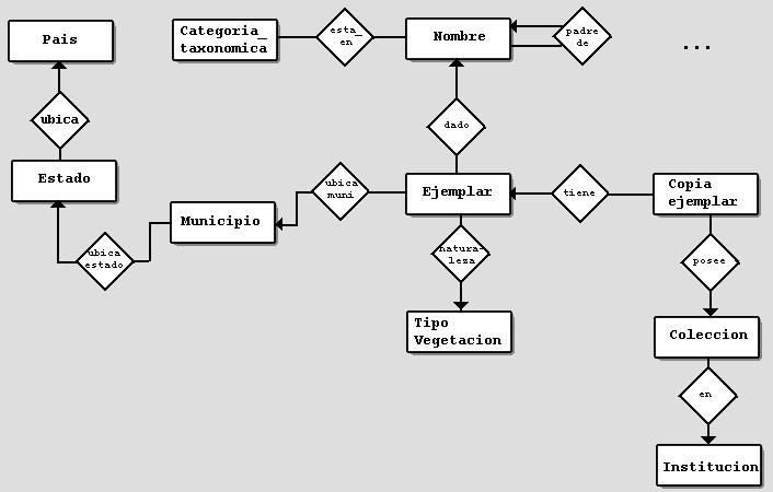 Figura 4.1 : Submodelo de BIOTICA versión 1 (se omiten atributos por simplicidad) Figura 4.