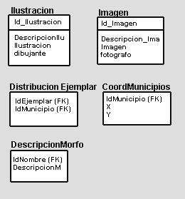 Figura 4.3: Atributos de cada una de las nuevas tablas en Xanath. Tal vez surja la duda del porque no utilizar BIOTICA versión 2 si ya maneja imágenes.