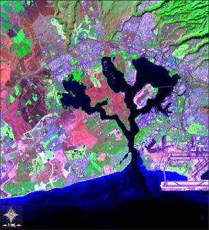 Metodología En numerosos trabajos se ha recurrido al empleo de imágenes LandSat, que han confirmado ser una