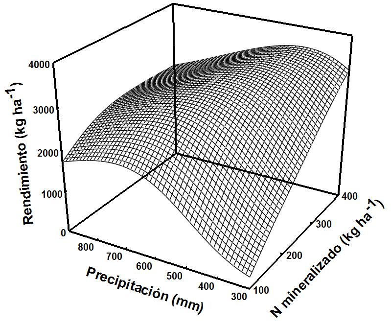 Figura 5. Impacto de la capacidad de mineralización de nitrógeno en el suelo y la precipitación sobre el rendimiento de trigo a nivel de la Región Pampeana. Elaborado con datos de Álvarez et al.