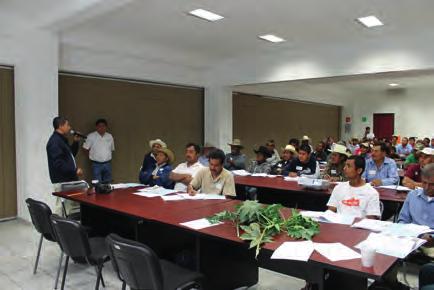 30 2014 Identificación de plantas elite Fig. 2. Banco comunitario en Apaseo el Grande, Guanajuato.