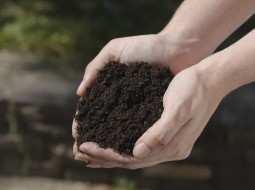 4. Turba, mantillo o compost: Estos tres elementos se descomponen con facilidad y