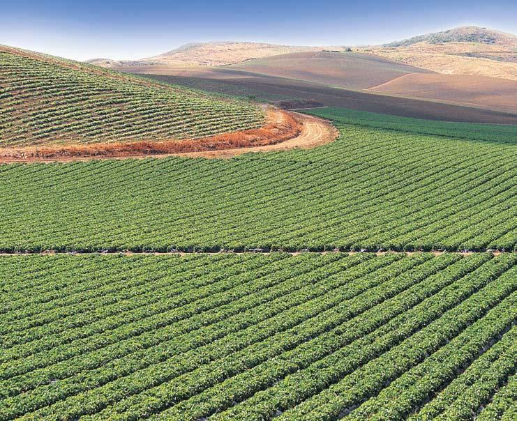 Aplicaciones Agrícolas Aplicaciones químicas precisas para sistemas irrigación la solución bajo costo.