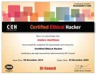 Cuenta con las certificaciones internacionales CISSP (Certified Information Systems Security Professional) de (ISC)2, CEH (Certified