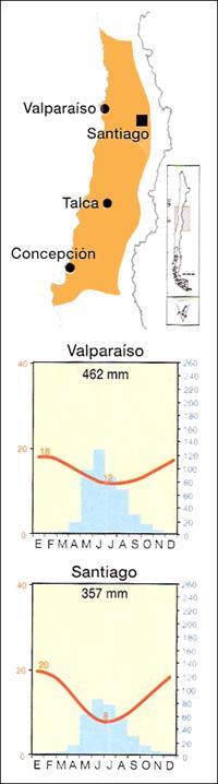 Matorral Esclerófilo Entre los ríos Aconcagua y Biobío. Clima mediterráneo con estación seca. Promedio anual de temperaturas de 18 C.