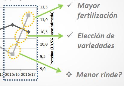 Caso regional: trigo en el Sudeste de Buenos Aires El manejo técnico explica gran parte del salto en calidad de grano Rango de dosis medias