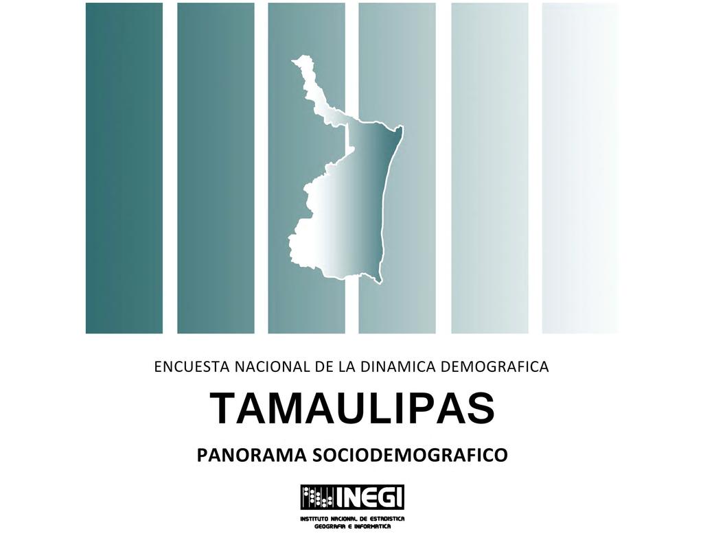 ENCUESTA NACIONAL DE LA DINAMICA DEMOGRAFICA TAMAULIPAS PANORAMA