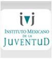 Avances en México 1999: Reforma al Artículo 4º Constitucional, incorpora los Derechos de la Infancia 1999: Ley del Instituto Mexicano de la Juventud 2000: Ley para la Protección de los